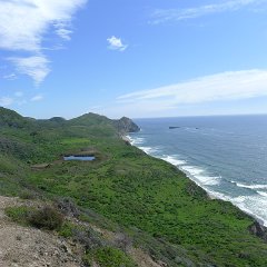 GirlsWildCat 024 : GirlsWildCat